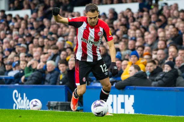 无疑以独树 无疑以独树